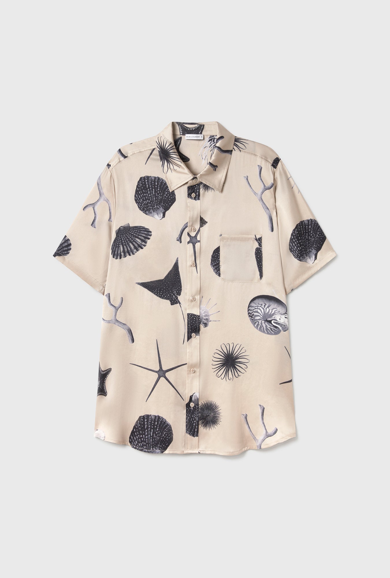 Chemise Boyfriend Manches Courtes Coquillages