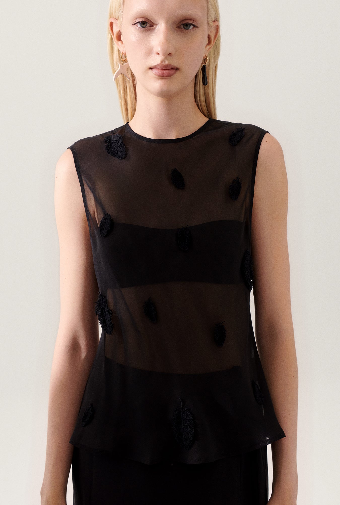 Sommet Plume Noir
