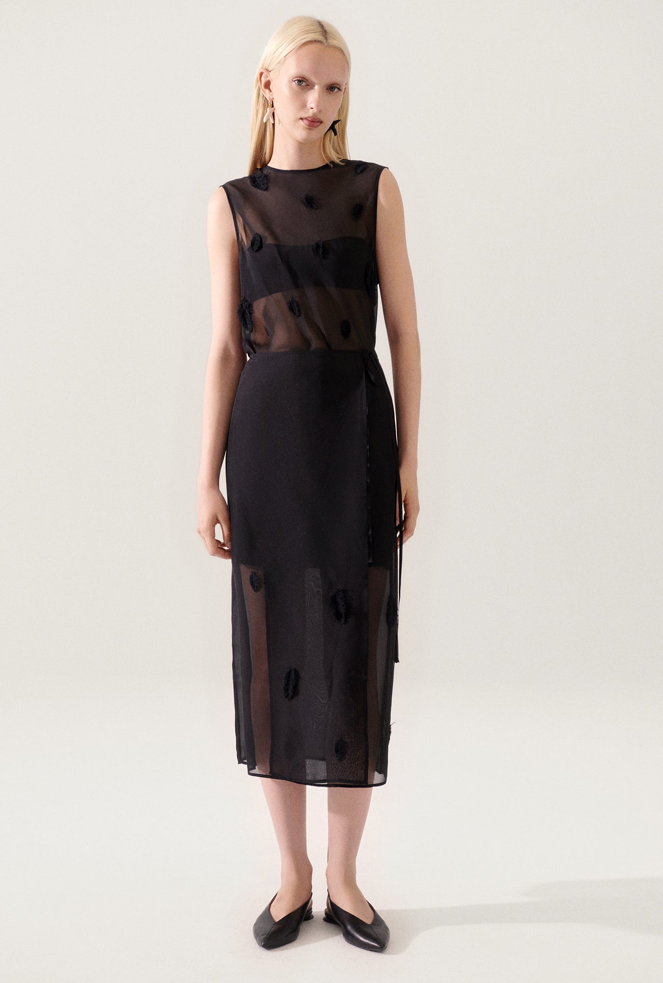 Sommet Plume Noir