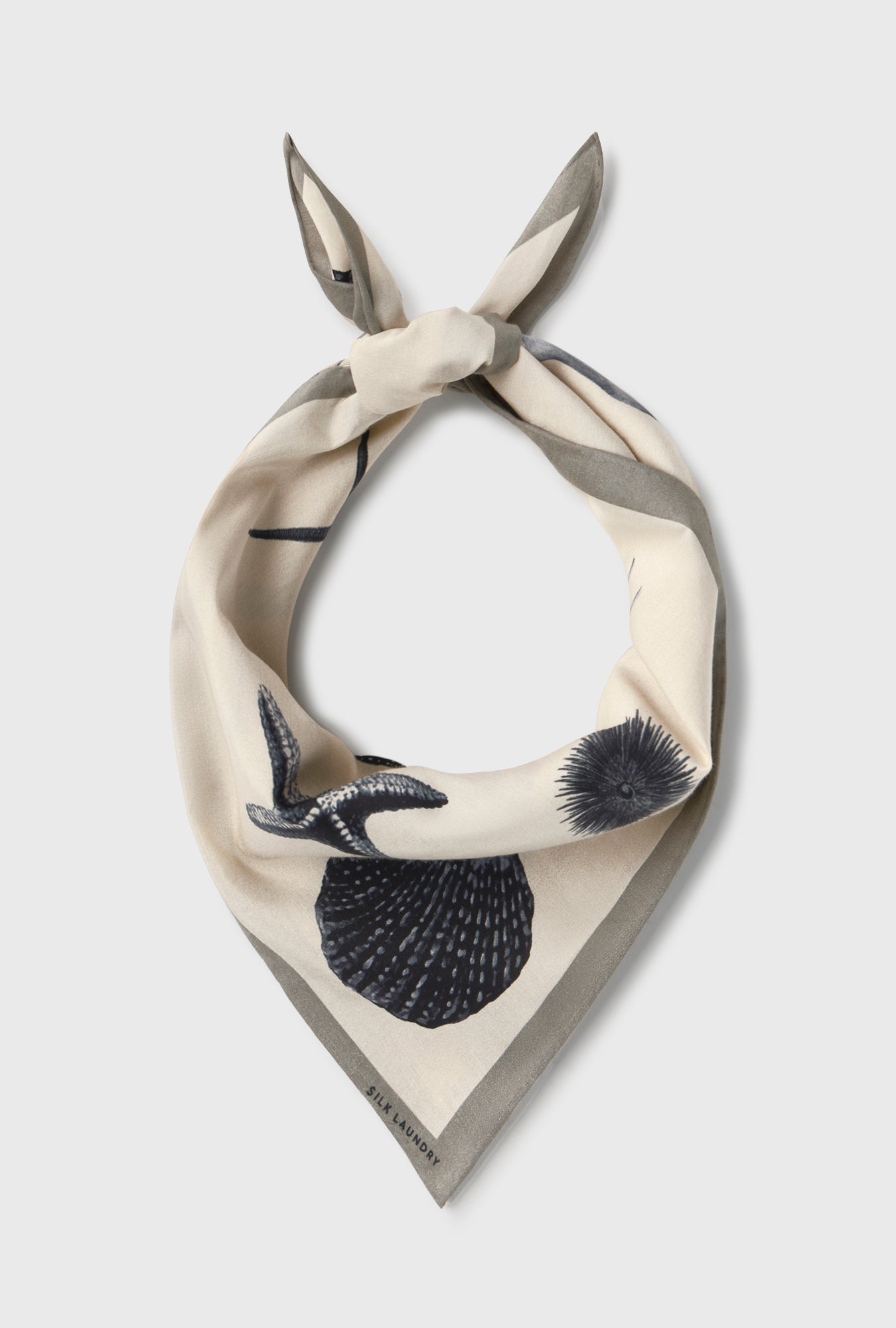 Foulard en coton et soie Coquillages