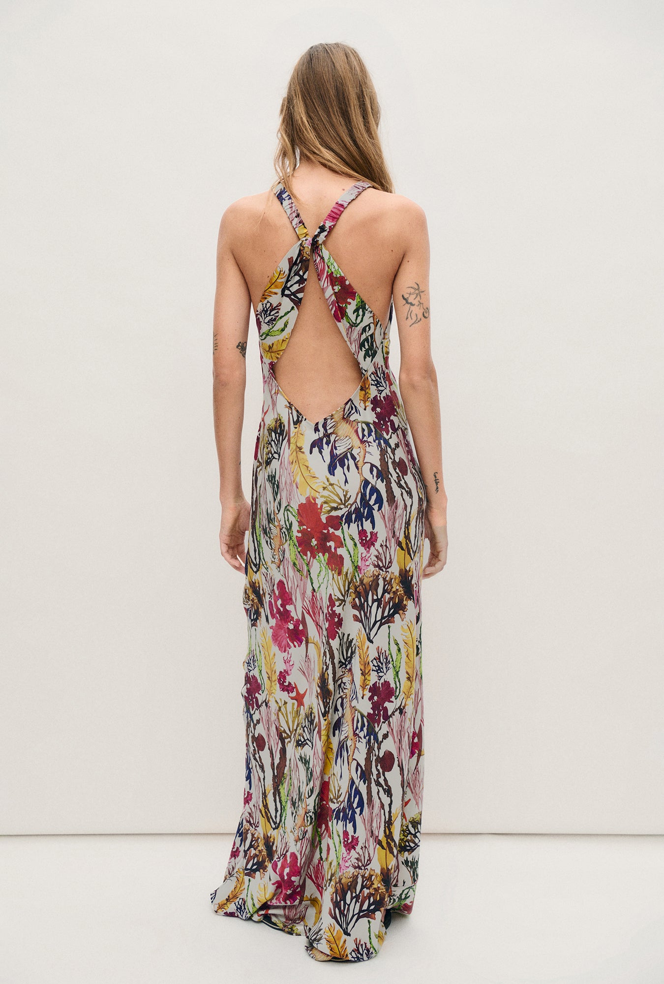 Robe asymétrique planctonique
