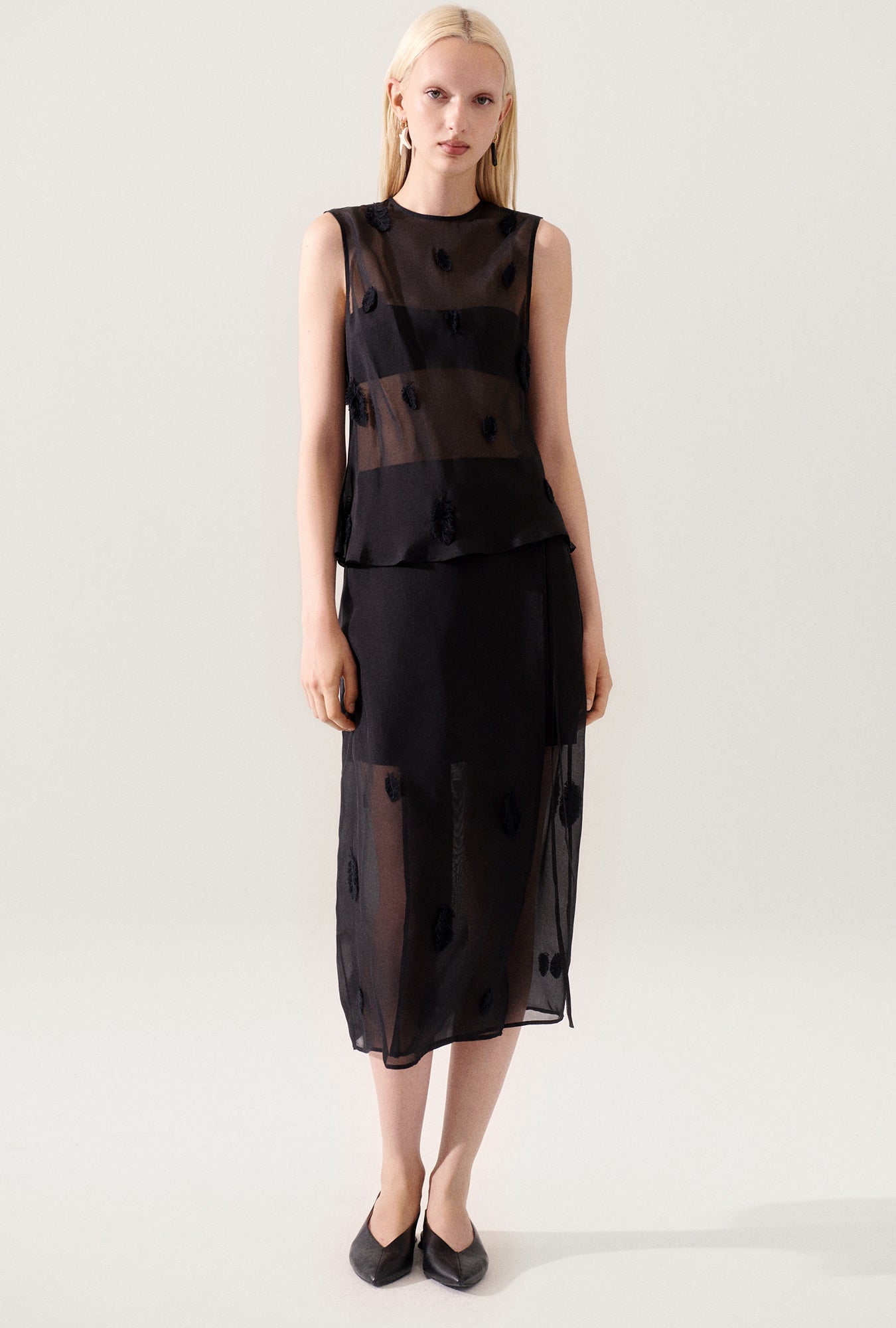 Sommet Plume Noir